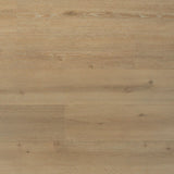Solide plank laurier - Douwes Dekker