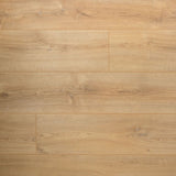 Extra lange plank Basilicum - Douwes Dekker